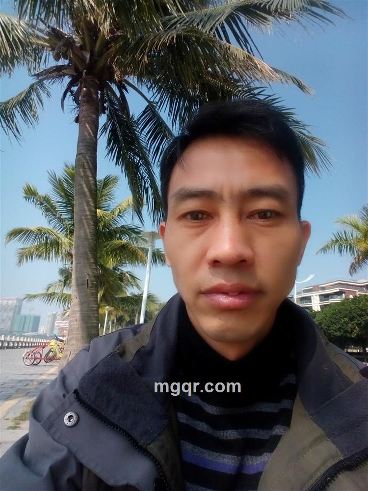 长弓飞箭的头像