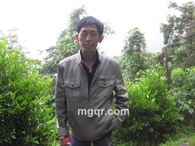 神龙仙剑的头像