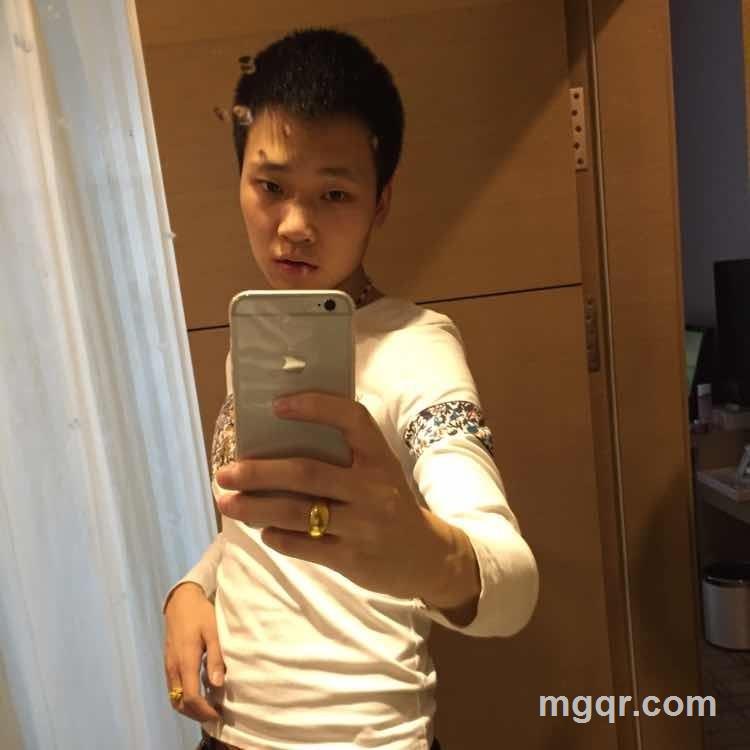 老虎头上有蚊子的头像