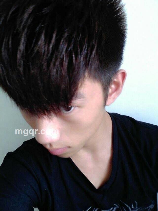 大鸟多大的头像