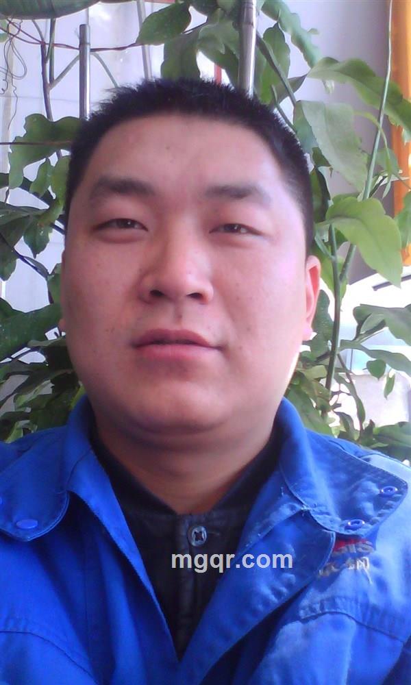 放飞的心的头像