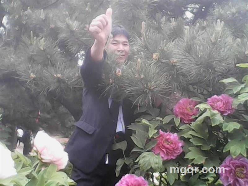 愤怒的天使的头像