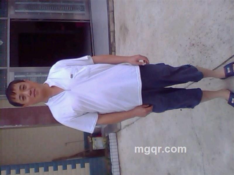 同是一片树的头像