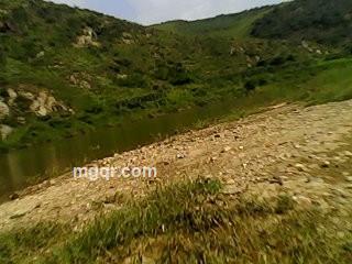 木目今心的头像