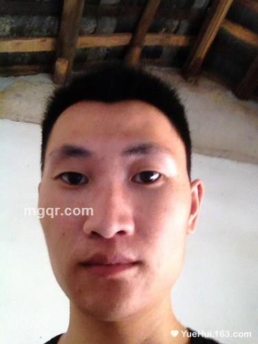 孤单的大炮的头像