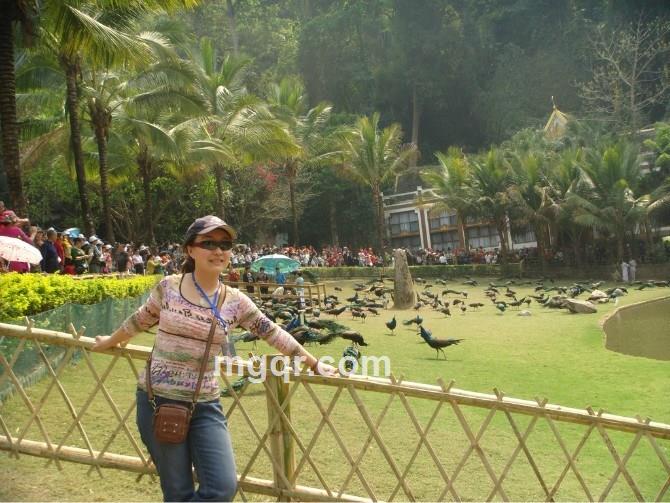 云上小筑的头像