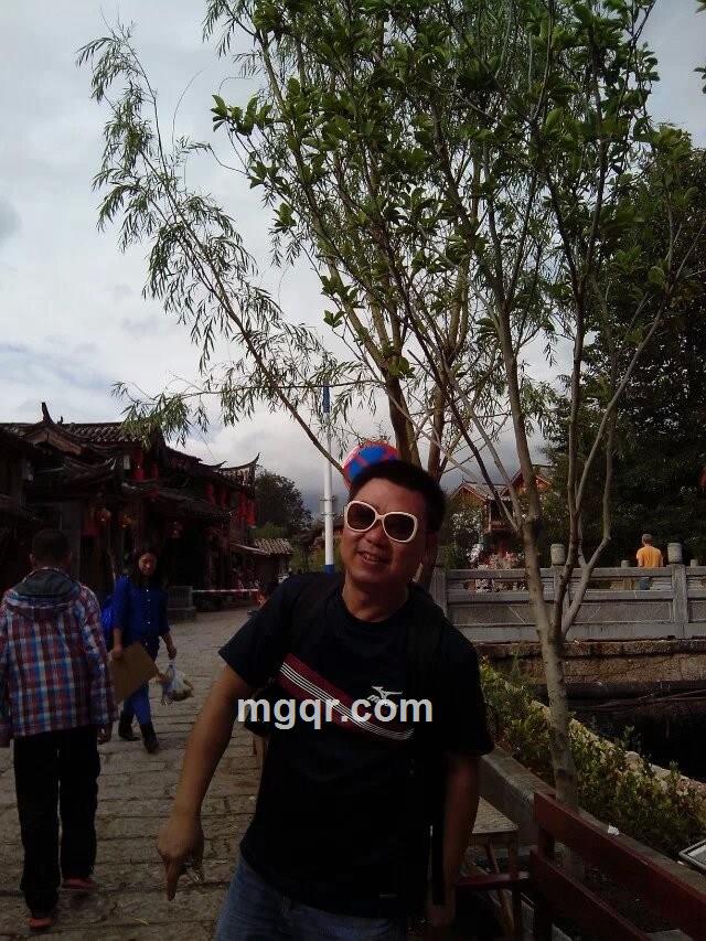 飞跃.迷雾的头像