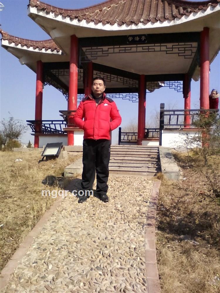 展翅飞翔的头像