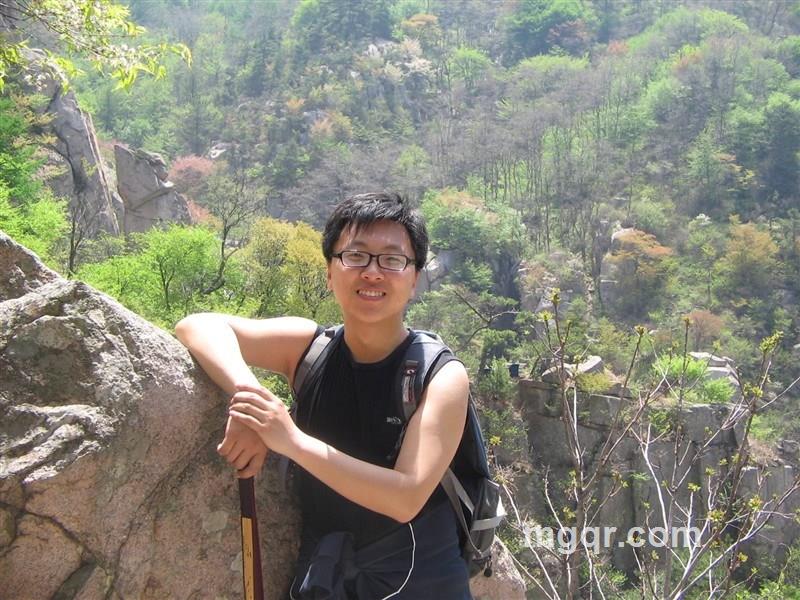 仙人掌没有刺的头像