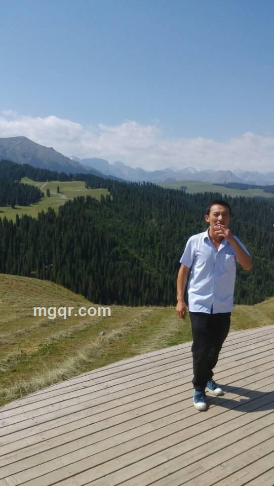 风中的沙的头像