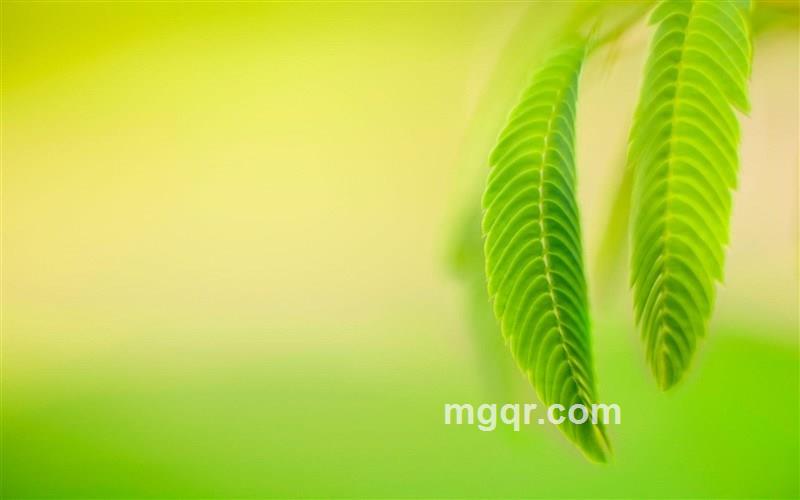 么么哒丿的头像