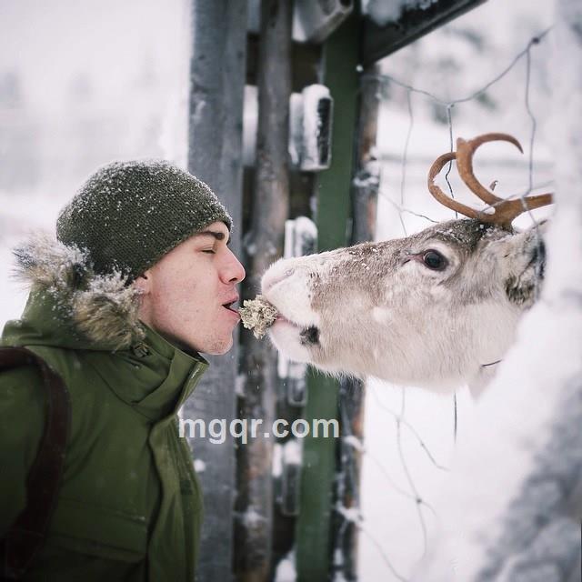 灵魂伴侣--爱你的头像