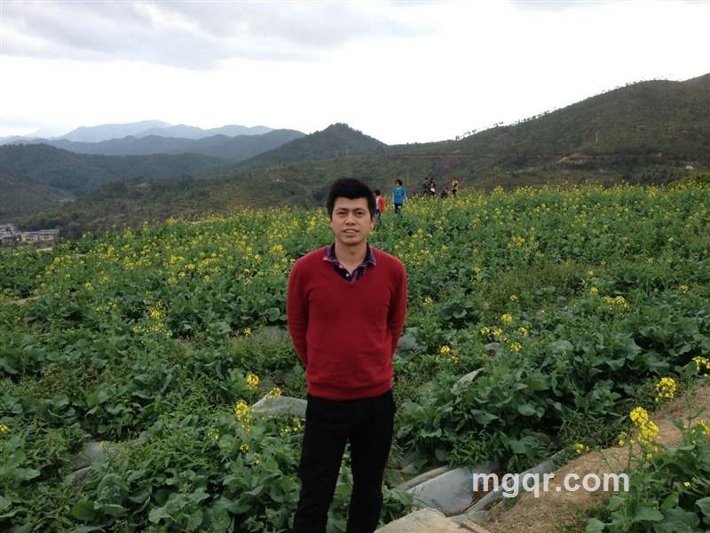 搜索爬山虎的头像