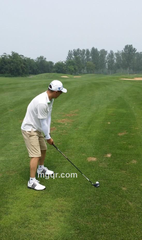 dinghaining的头像