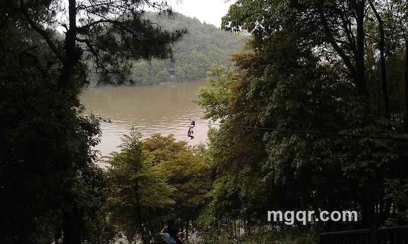 通过后哦的头像