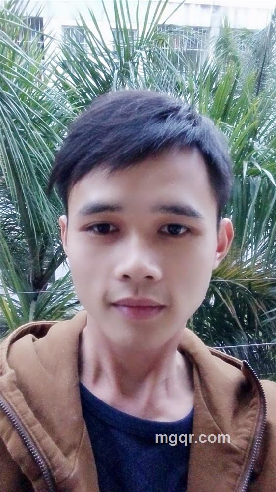 不该的该的头像
