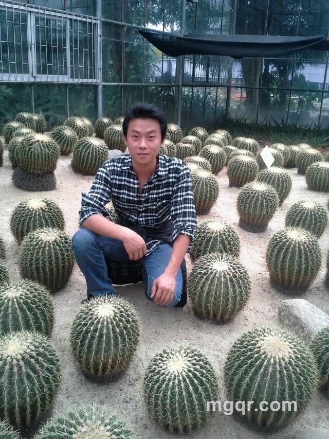 就是你了的头像