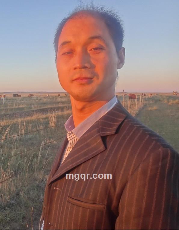 白马王子的头像