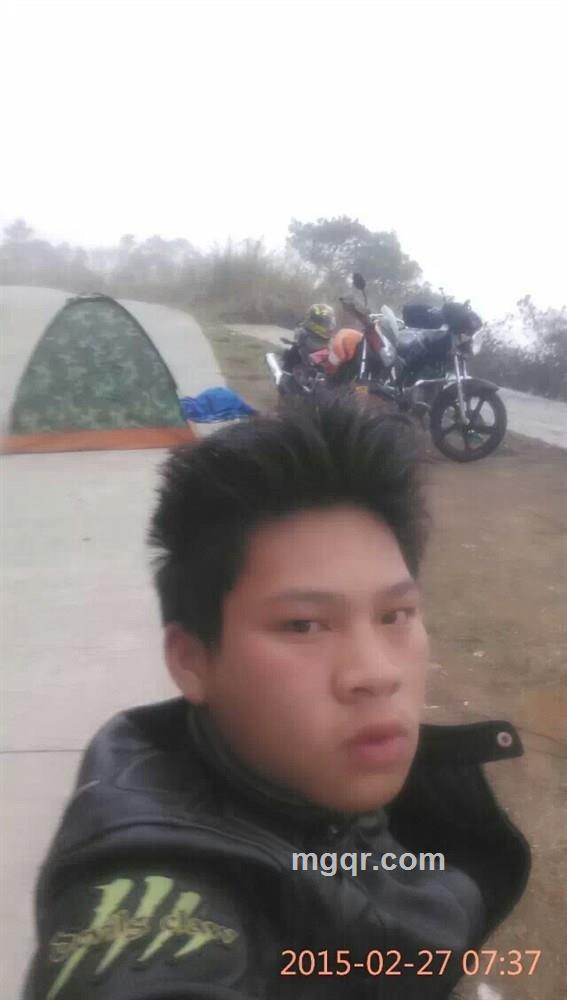 伤心的猪八八的头像