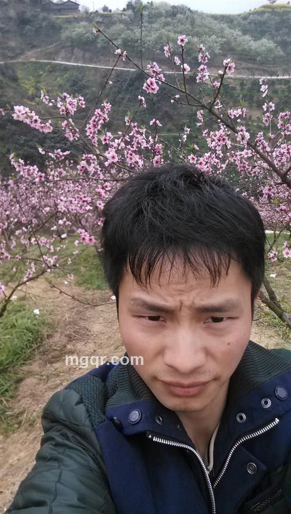 物是人非的头像