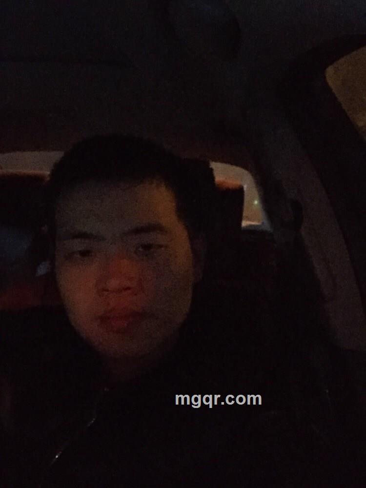 狼舞动感的头像