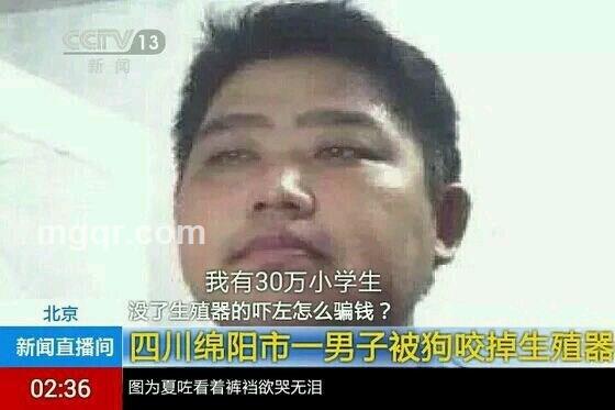 落叶亦相随的头像