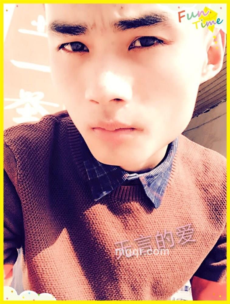 无言的心的头像