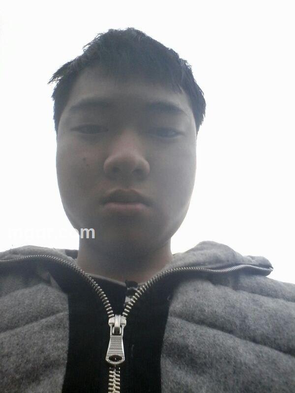 几乎覆盖哈飞股份的头像