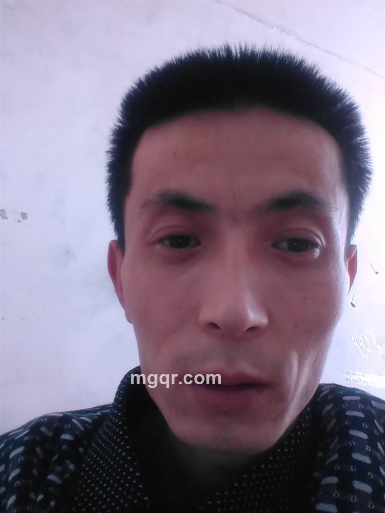 孤独的黑狐狸的头像