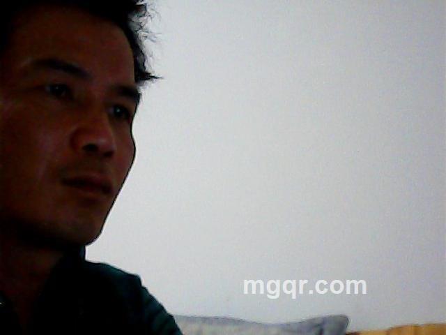 四马大桥的头像