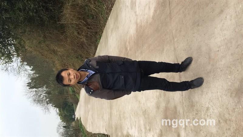 快乐一生的头像