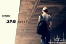 。。。。。。.的头像