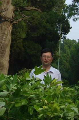 开心一苹果的头像