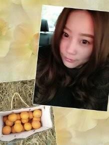 fanqiebandan1的头像