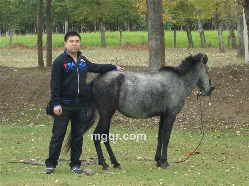 会员3394574的头像