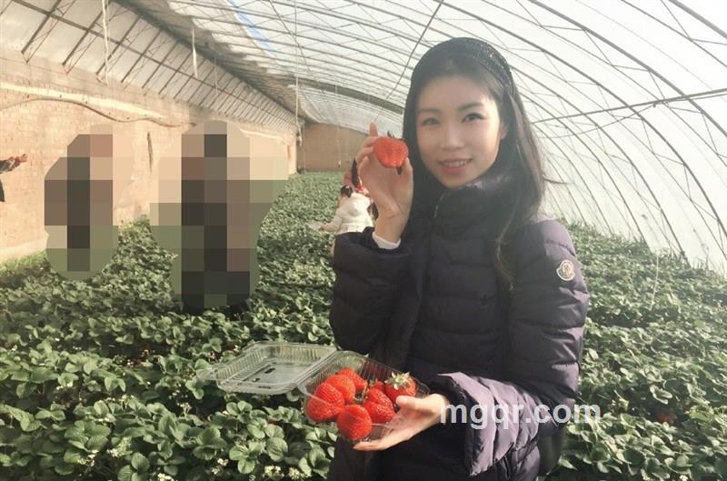 春暖花开V的头像