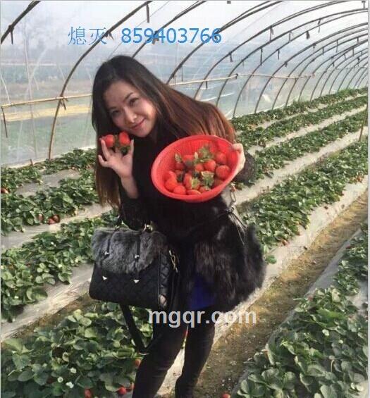 扣扣859--403766的头像