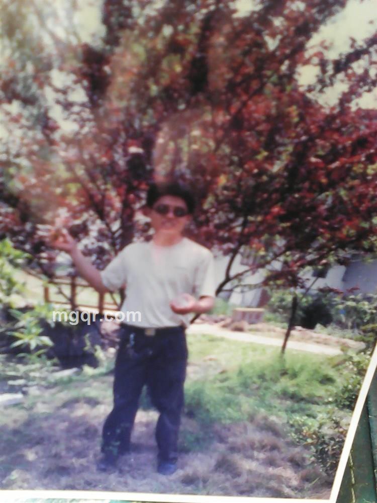 有欲有情的头像