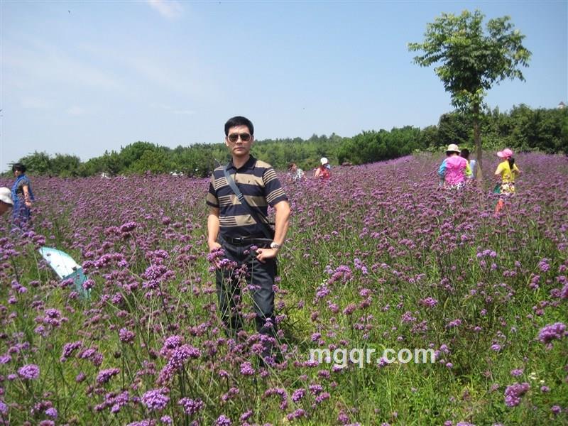 2015老来乐的头像