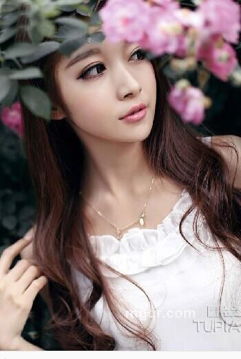 迷情百合的头像