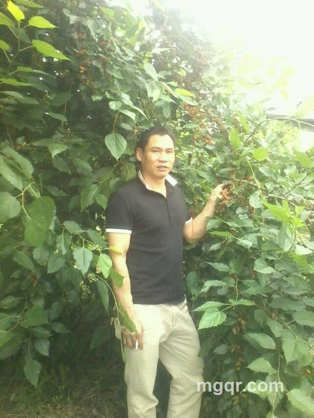 春梦无痕的头像