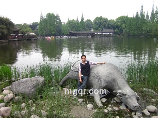 夜猫子情人的头像