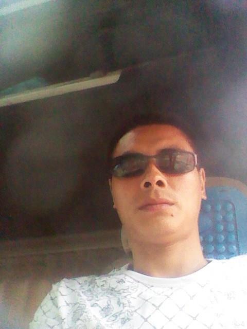 伤心的狼的头像