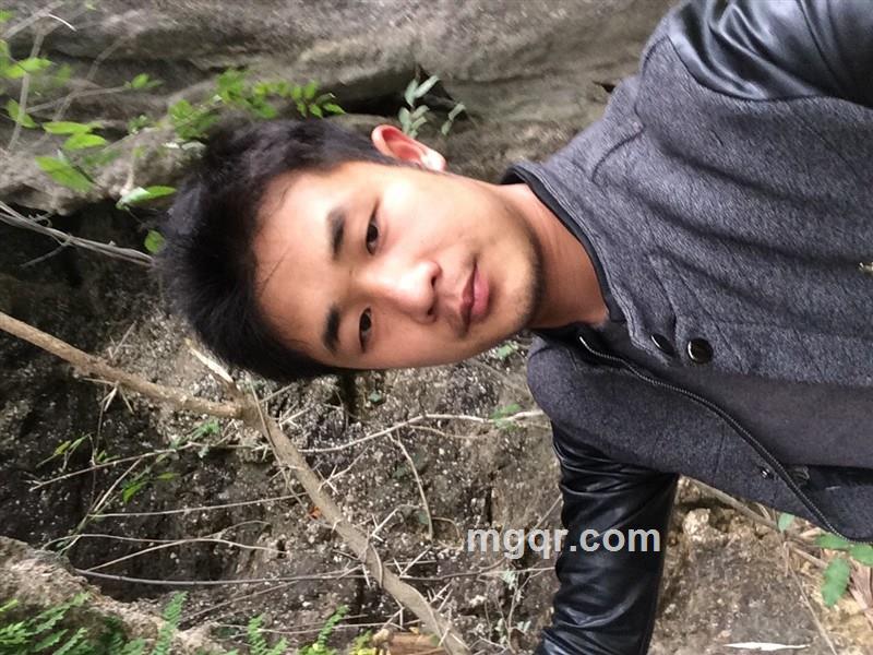 停止的风的头像