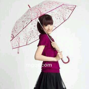 热度的雪的头像