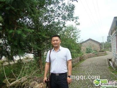 菩提皆烦恼的头像