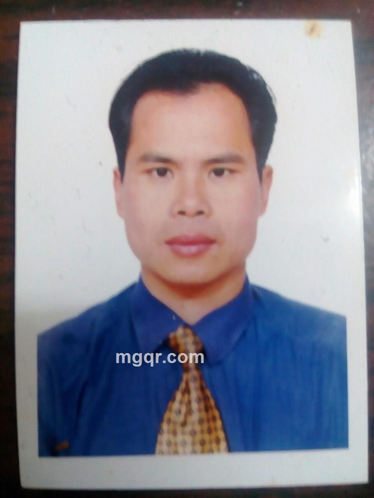 自由飞翔的头像