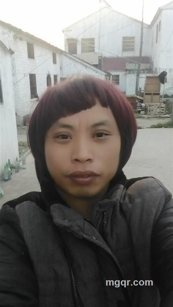 为爱高歌的头像