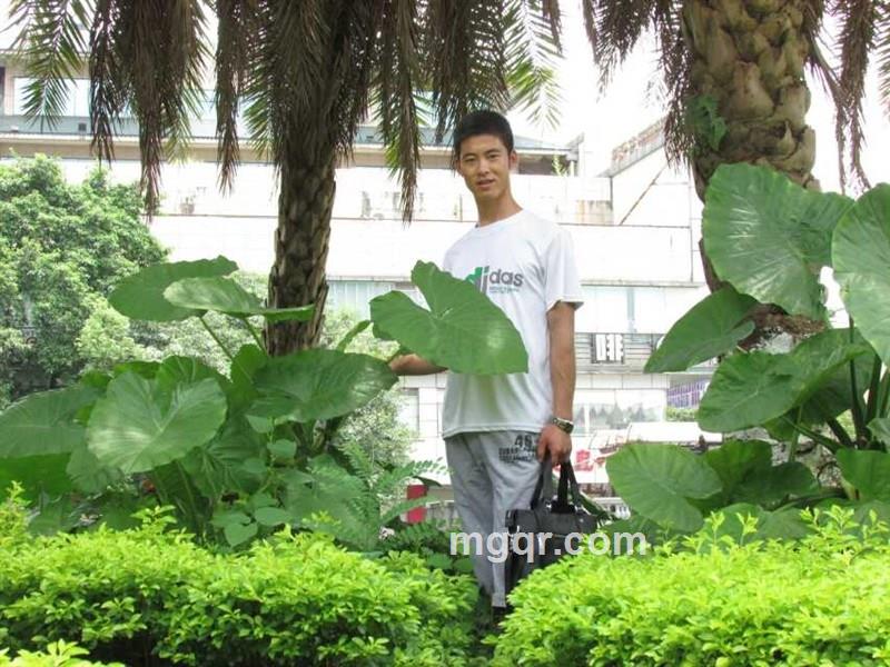 情人的头像