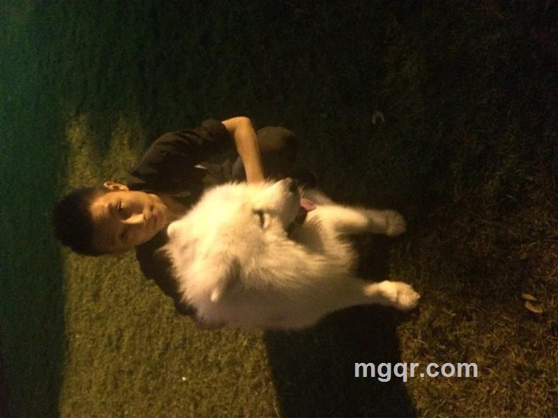 女人都一样的头像